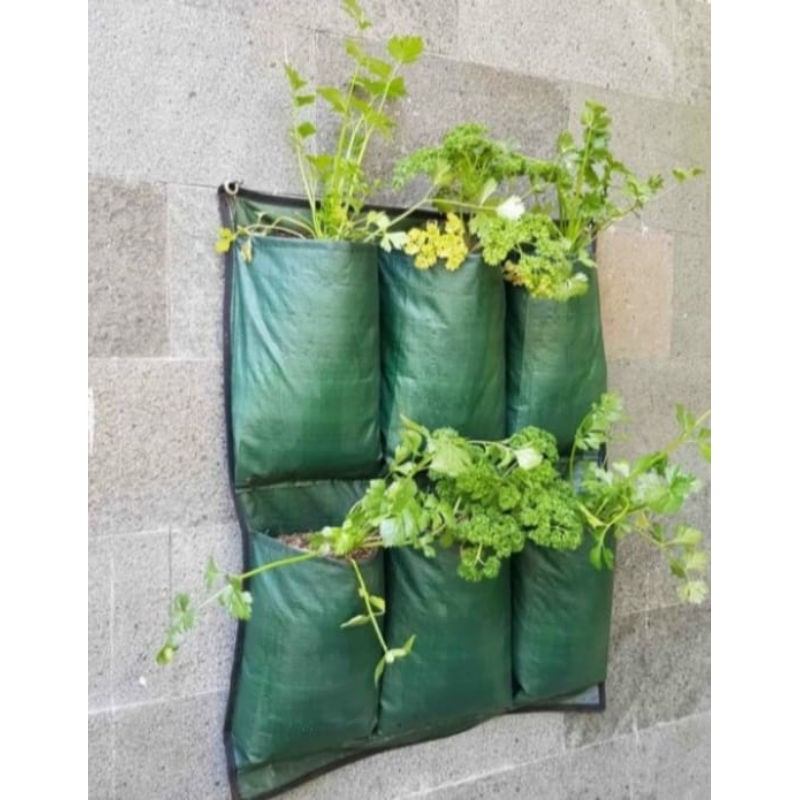 pot dinding wall planter 6kantong besar