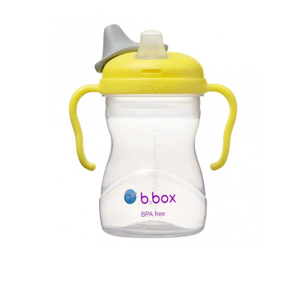 B.Box Spout Cup