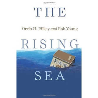 The Rising SEA