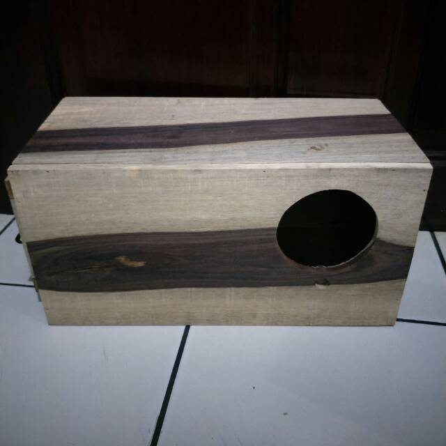 Glodok nuri/glodokan nuri/glodok burung nuri/glodok burung/glodok burung nuri/sangkar burung nuri