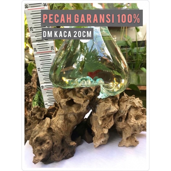 AQUARIUM TIUP/KACA/KAYU/20CM