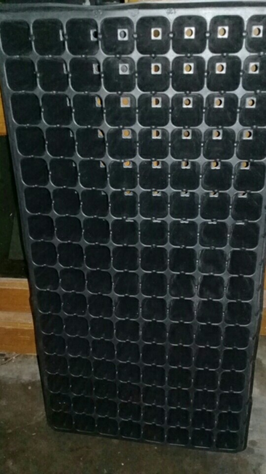 Pot Tray / Tray Semai Tipe 105 Lubang
