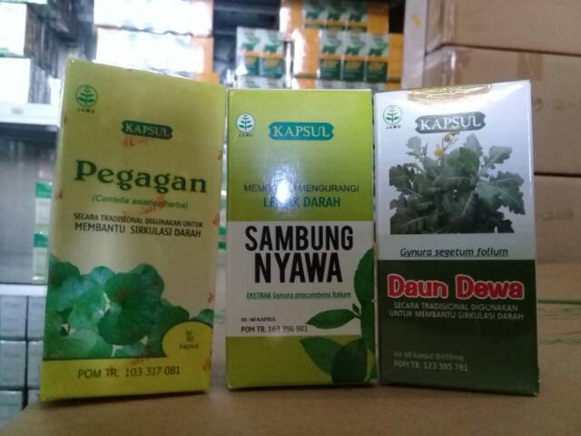 Obat Herbal Struk Ampuh Halal BPOM