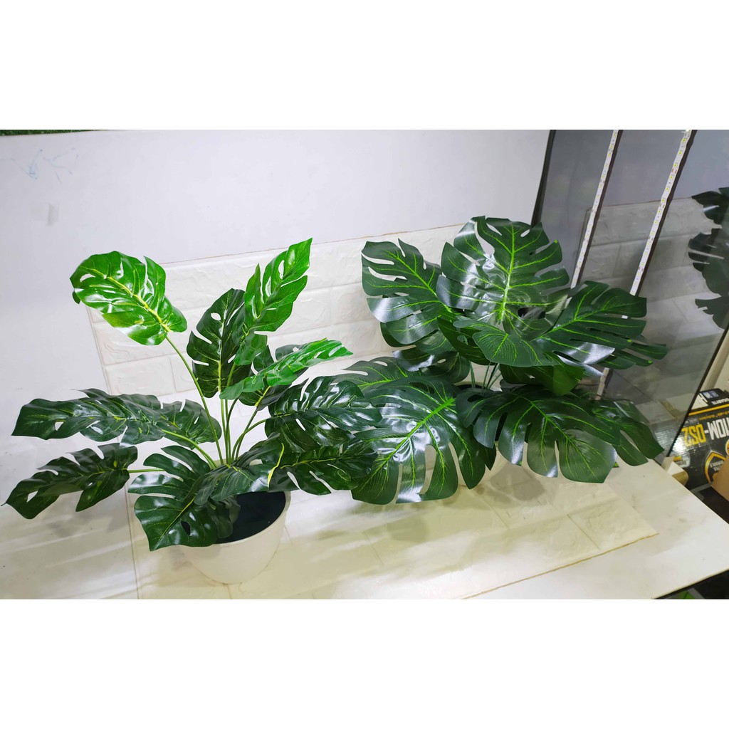 Daun Monstera Lembaran - Bahan Tanaman imitasi Daun Monstera