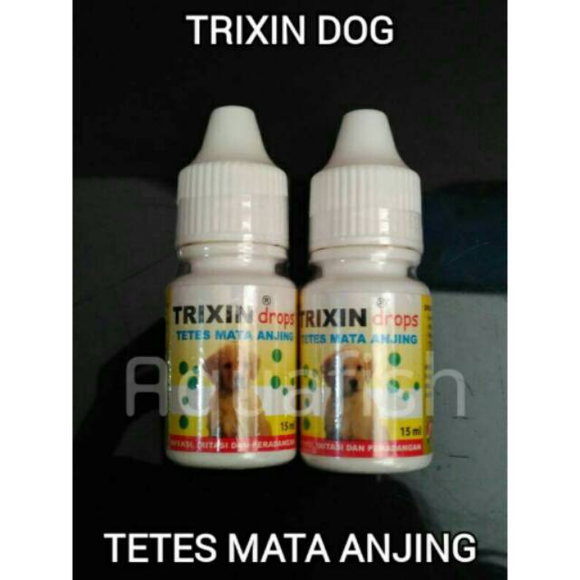 Trixin dog.  Tetes mata anjing