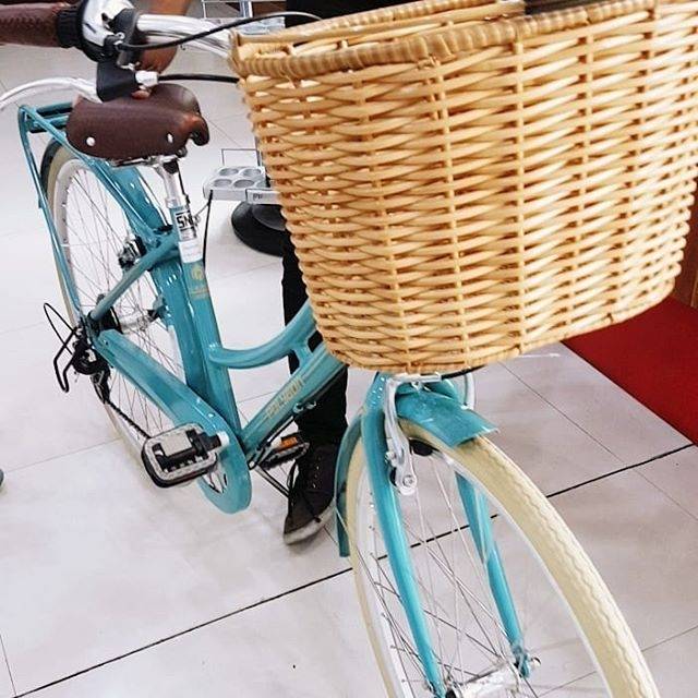 bicycle with basket