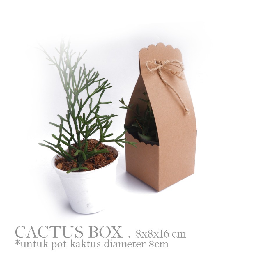 

kardus dus box cactus kotak kemasan brown kraft wedding souvenir packaging hampers kaktus ukuran 8x8x16cm