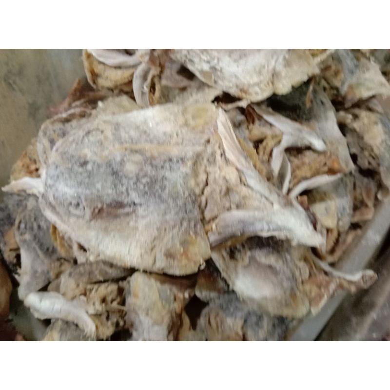 

kepala ikan asin garih/toman/tauman