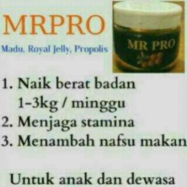 

MR PRO PENGGEMUK BADAN
