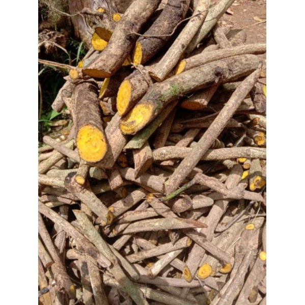 

New Cod AKAR KAYU KUNING /AKAR KI KONENG ASLI OBAT HERBAL 250 GRAM