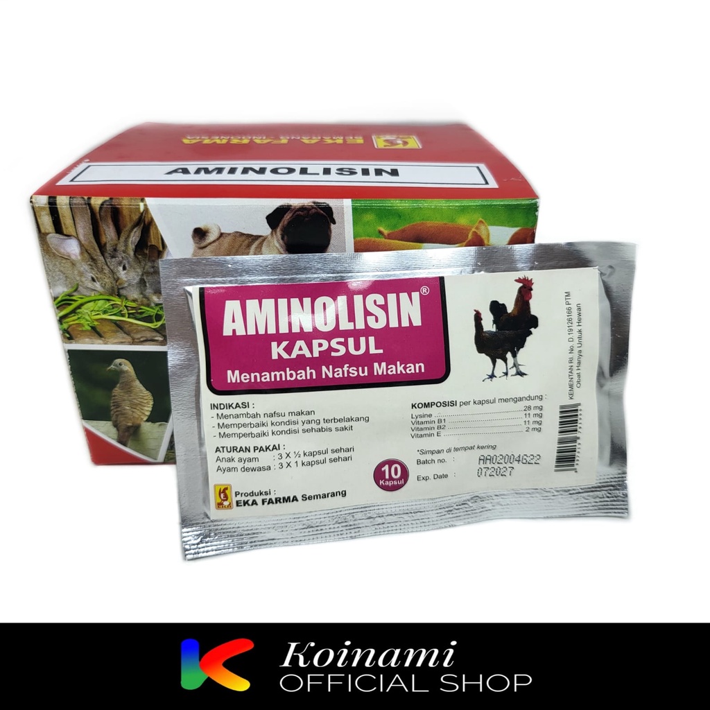 AMINOLISIN 10 KAPSUL / Menambah Nafsu Makan Ayam /Memulihkan Stamina Ayam / Eka Farma