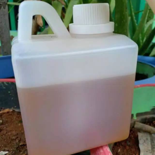 

Madu randu