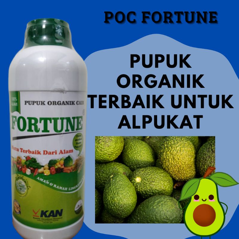 Pupuk Alpukat Agar Cepat Berbuah, Pupuk Organik Booster Alpukat Perangsang Buah Alpukat