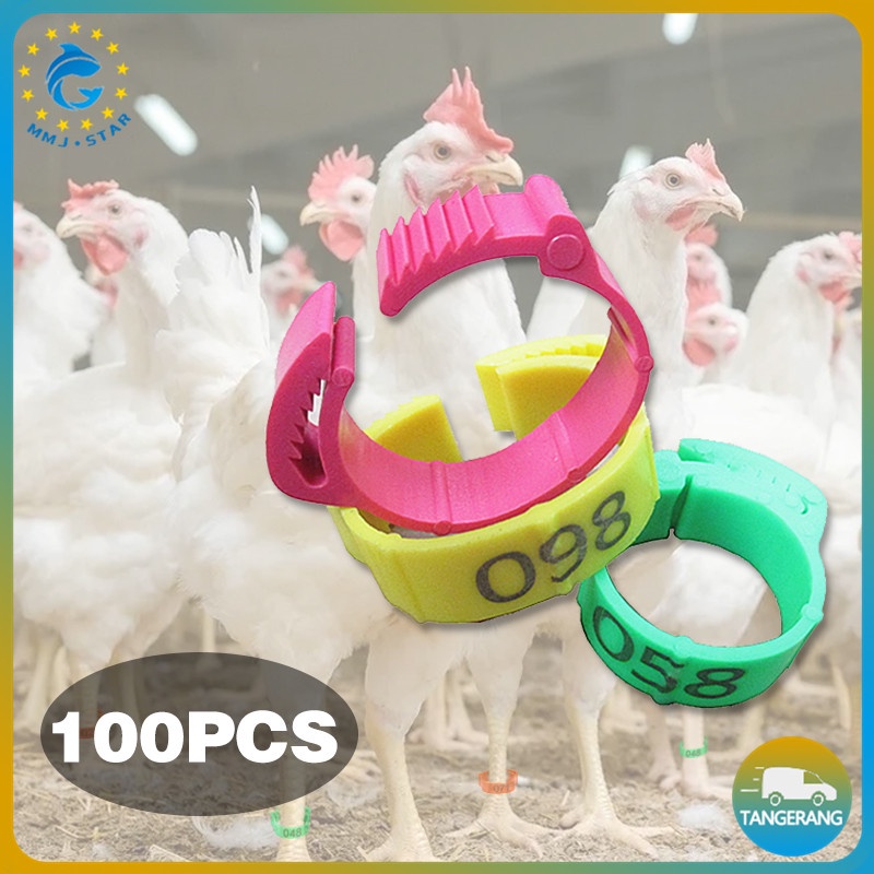 【100 pcs】Gelang Kaki Ayam/Cincin Kaki Ayam Adjustable/Cincin Kaki Ditarik/Cincin Kaki Unggas/Tanda Unggas Gesper