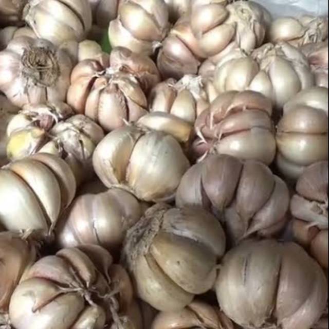 

Bawang Putih kating 1/2kg