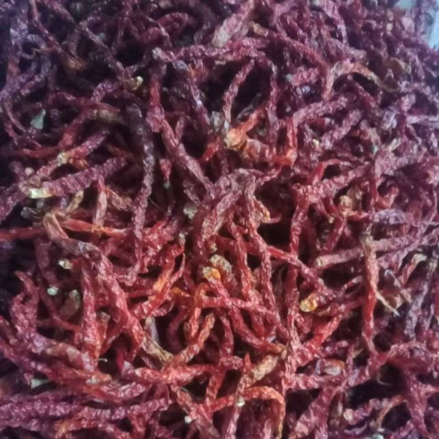 

Cabe kriting kering tanpa gagang