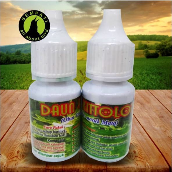 DAUN KITOLOT BMW OBAT TETES MATA BURUNG SAKIT KATARAK BERLENDIR BENGKA