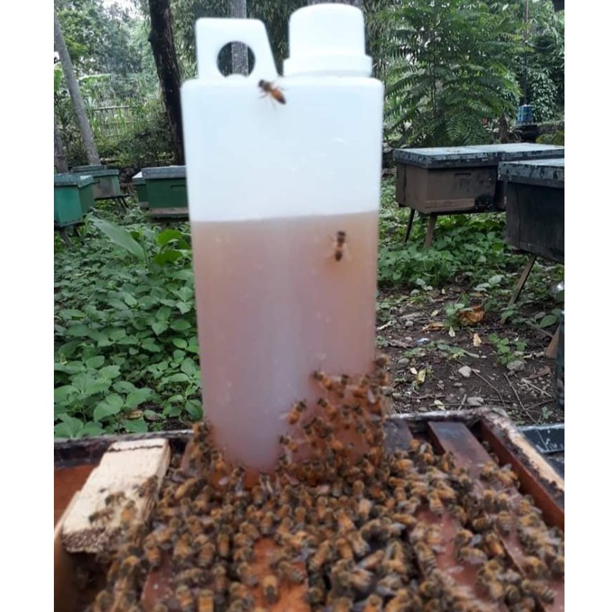 

MADU MURNI MULTIFLORA / RAW HONEY asli tanpa Proses