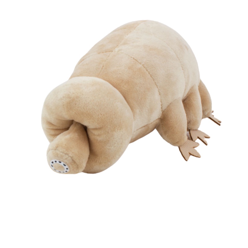 Cute Tardigrade Water Bear Plushie Hadiah Ulang Tahun Idaman Untuk Si Kecil!