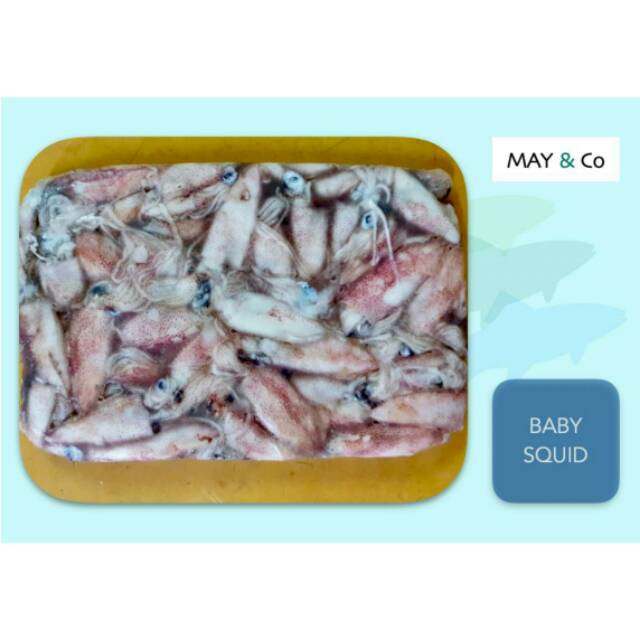 

CUMI BABY ( BABY SQUID)
