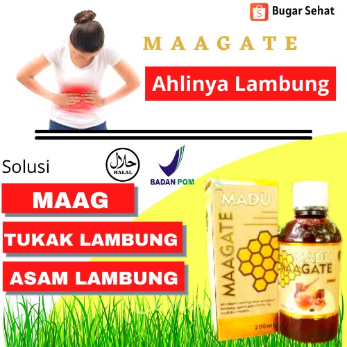 Obat Magh Asam Lambung Herbal Paling Ampuh Obat Asam Lambung Dan Maag Kronis Ampuh MAAGATE