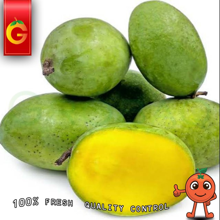 

MANGGA KWENI FRESH 1 KG