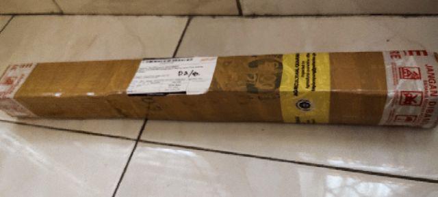 Jual Tanaman Aglonema Snowhite Dengan Harga Yang Pastinya Terjangkau Melayani Partai Maupun Ecer