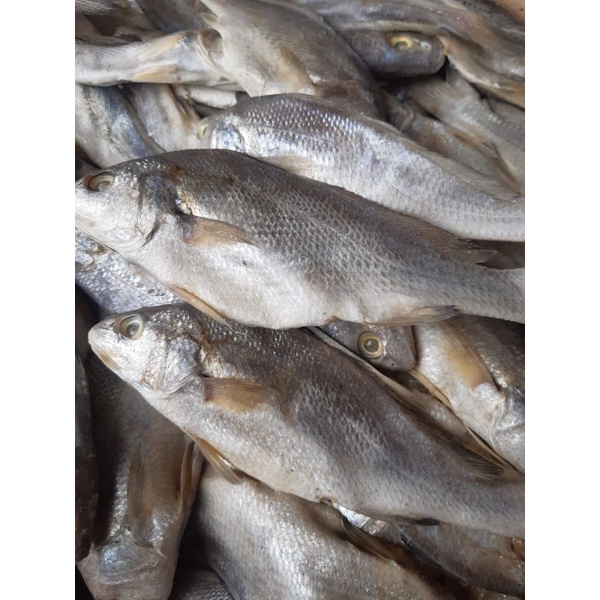 

Ikan Asin Sileman 500 gr