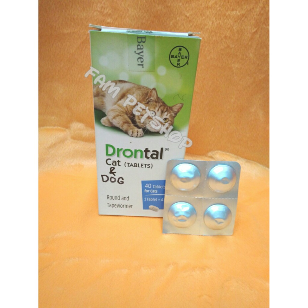 Drontal Cat - Obat Cacing Kucing