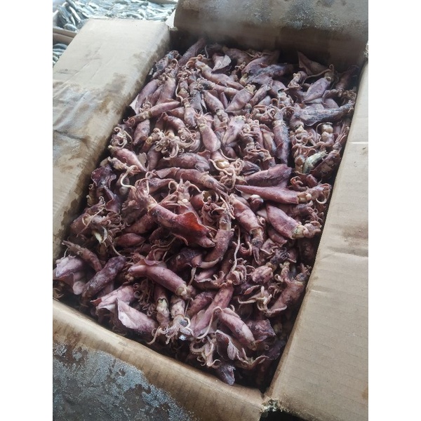 

Cumi Asin kering