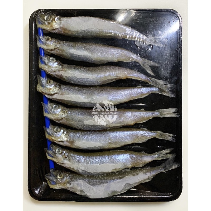 

Ikan Shisamo Chapelin