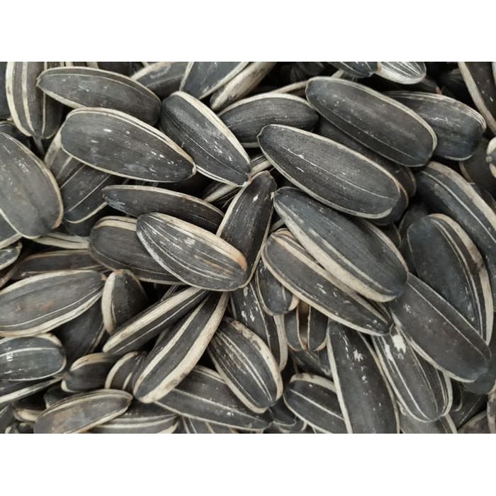 

Kwaci/Kuaci Bunga Matahari Kualitas Super (Asin 1kg)