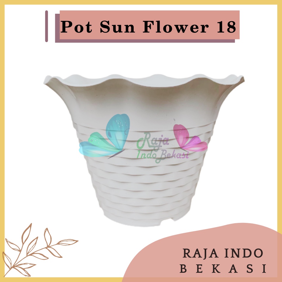 Pot Bunga Sun Flower MDN 18 Warna pot bunga cantik murah bagus ukuran 18 bukan tawon Pot Bunga Plastik Besar Gantung Hias Panjang Kecil Putih - Pot bunga SUN FLOWER MDN 10cm WARNA WARNI Pot Kecil Mini Pot Kaktus