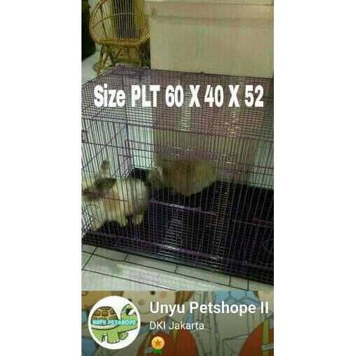 Harga Promo Kandang Kucing Size L