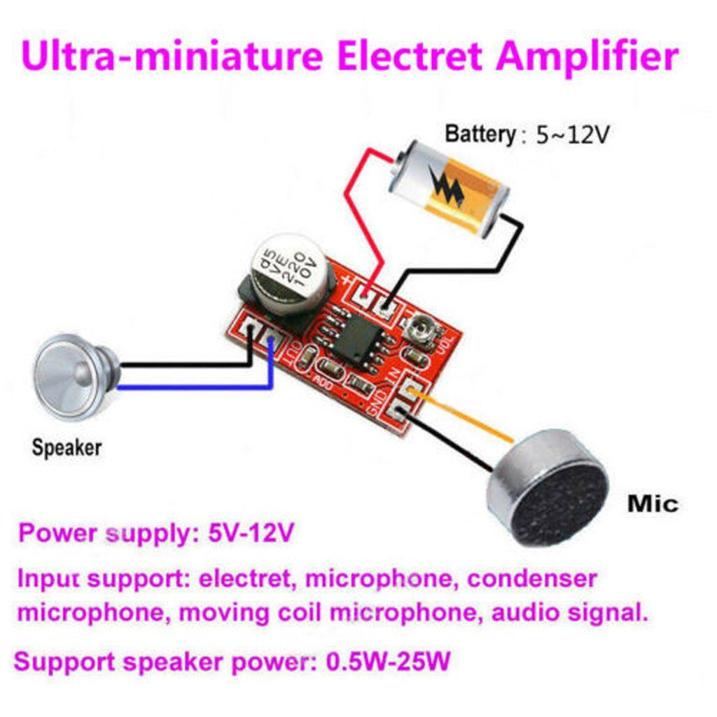 Papan Amplifier Agustina Universal DIY DC 5V-12V Mikro Electret