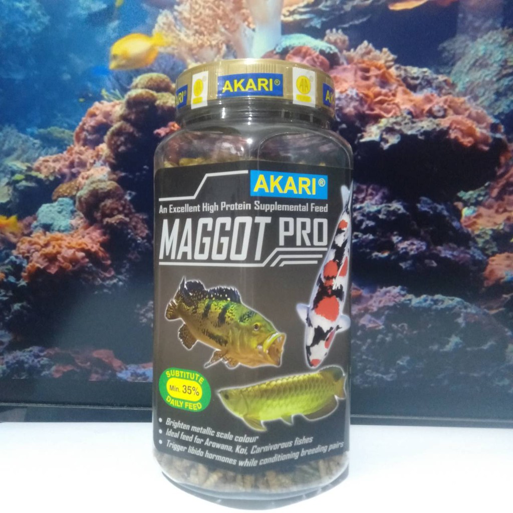 AKARI MAGGOT PRO 130GR PAKAN IKAN HIAS