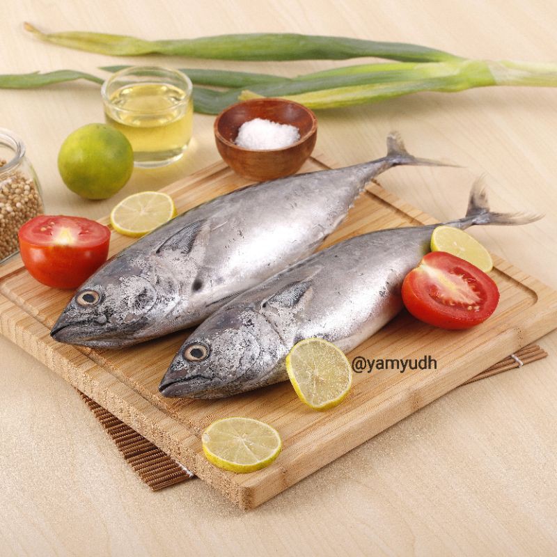 Jual Ikan Tongkol Putih Segaar 1kg Indonesia Shopee Indonesia