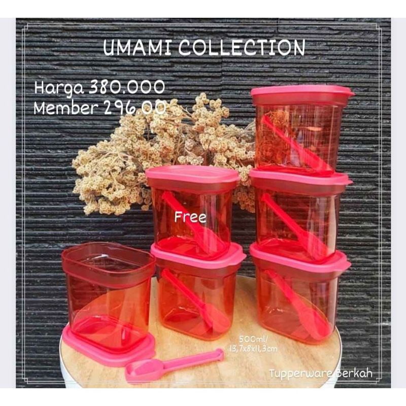 umami collection ecer 1pcs tempat bumbu bumbu container