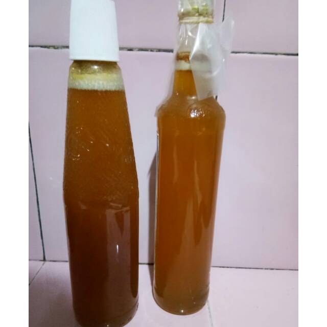 

Madu Manis Asli 460ml termurah