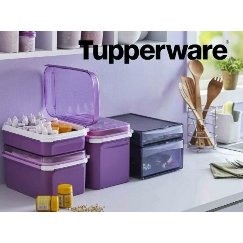Signature Rectangular Tupperware