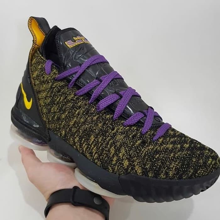 lebron 16 we are family