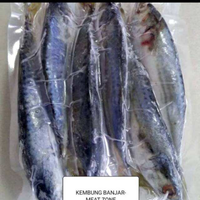 

IKAN KEMBUNG BANJAR JUMBO