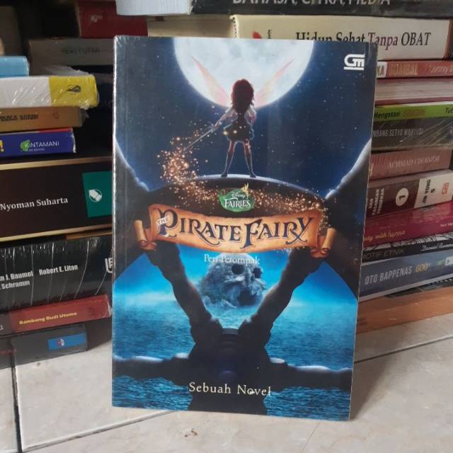 Pirate fairy