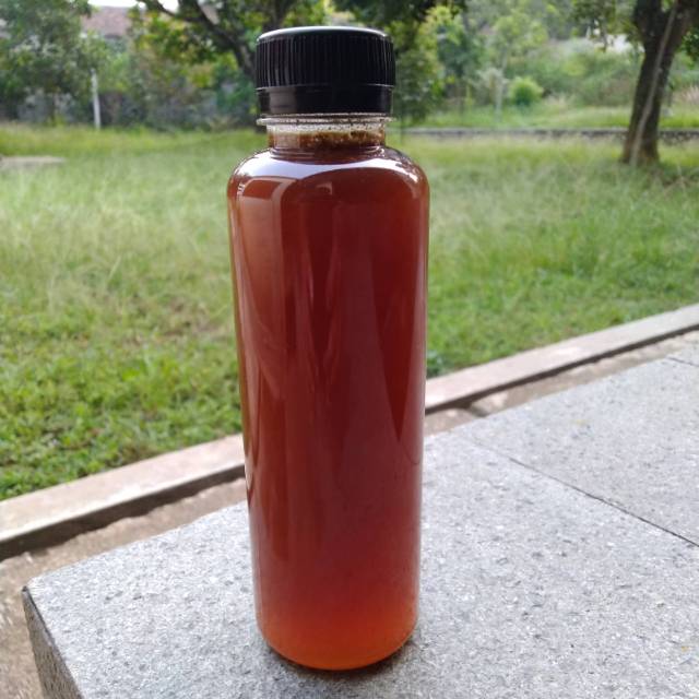 

Madu murni madu klanceng