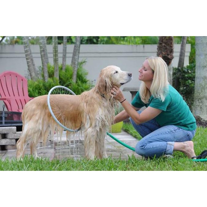 pet store dog wash