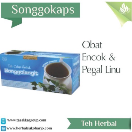 

Obat Herbal Teh Celup Encok Dan Pegal Linu Alami Teh Herbal Songgokaps Tazakka Murah Aman Halal