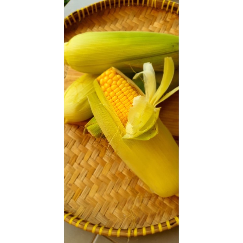 

Jagung Manis Kulit 500gr