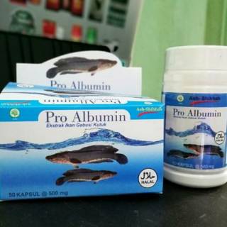 pro albumin 100% ekstrak ikan gabus / kutuk premium