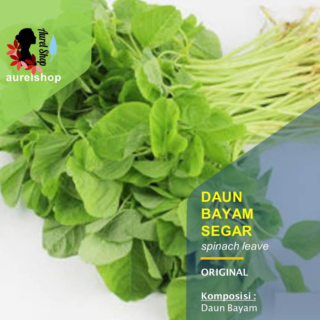 

Daun Bayam Segar kemasan 1 kg