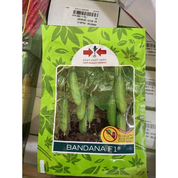 Benih Timun Hibrida Bandana/ Bibit Timun sayur F1 Bandana